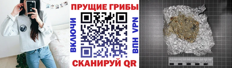 как найти закладки Урай Псилоцибиновые грибы Cubensis
